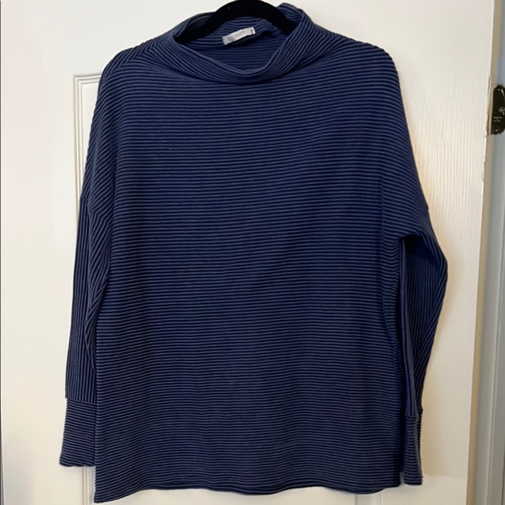 Striped Blue Turtleneck Sweater
